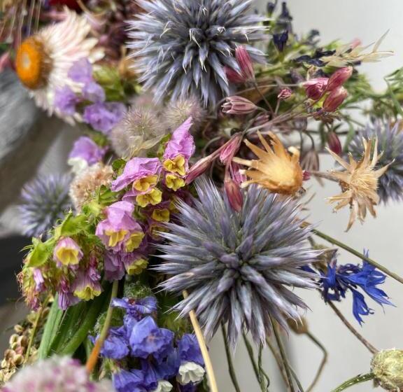 标准单人间, Villa Harmonie