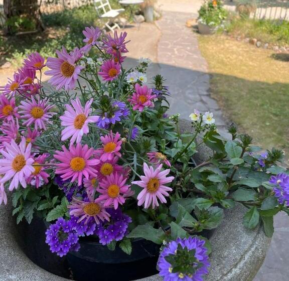 低层单卧公寓, Villa Harmonie