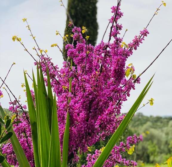 اتاق استاندارد با تخت بزرگ, Villa Porta A Colle