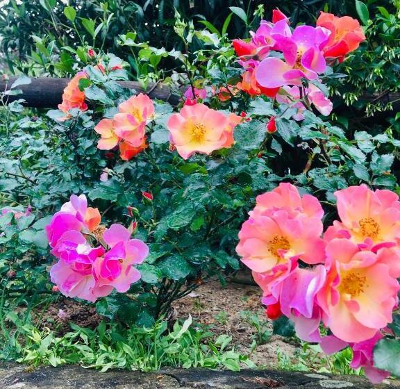 اتاق استاندارد با چشم‌انداز باغ, Villa Porta A Colle