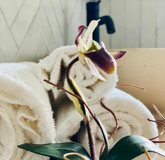 سوئیت 2 خوابه, Villa Porta A Colle