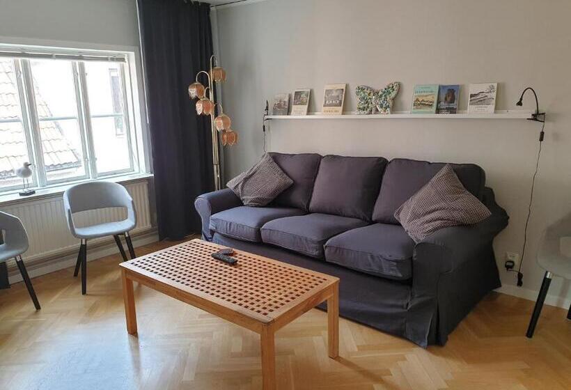 آپارتمان 1 خوابه, Adelsgatan 36 Lägenhetshotell, Gotland Living And Meeting