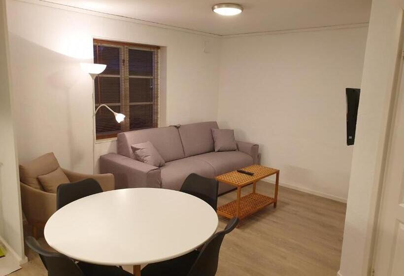 آپارتمان 1 خوابه, Adelsgatan 36 Lägenhetshotell, Gotland Living And Meeting