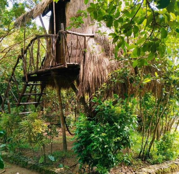 اتاق استاندارد با چشمانداز دریا, Sanctuaria Treehouses Busuanga