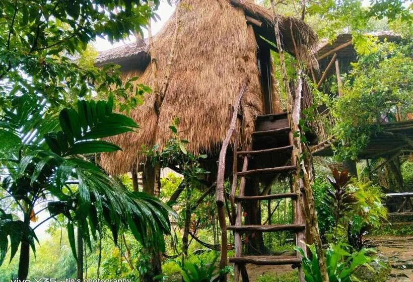اتاق استاندارد با چشم‌انداز دریا, Sanctuaria Treehouses Busuanga