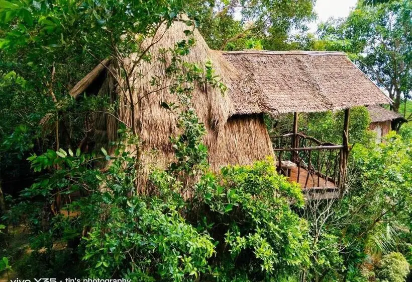 اتاق استاندارد با چشم‌انداز دریا, Sanctuaria Treehouses Busuanga