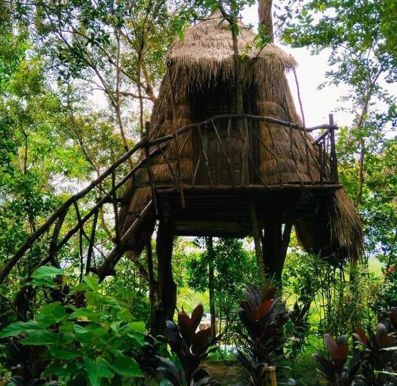 اتاق استاندارد با چشمانداز دریا, Sanctuaria Treehouses Busuanga