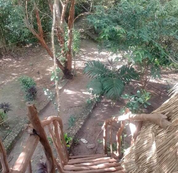 اتاق استاندارد با چشمانداز دریا, Sanctuaria Treehouses Busuanga