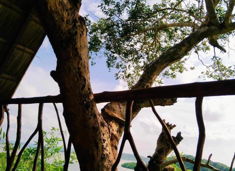 اتاق استاندارد با بالکن و چشمانداز دریا, Sanctuaria Treehouses Busuanga