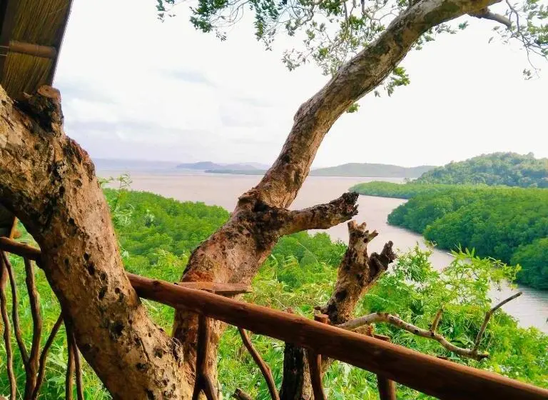 اتاق استاندارد با بالکن و چشم‌انداز دریا, Sanctuaria Treehouses Busuanga