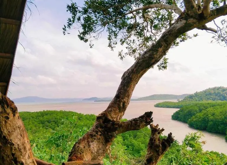 اتاق استاندارد با بالکن و چشم‌انداز دریا, Sanctuaria Treehouses Busuanga
