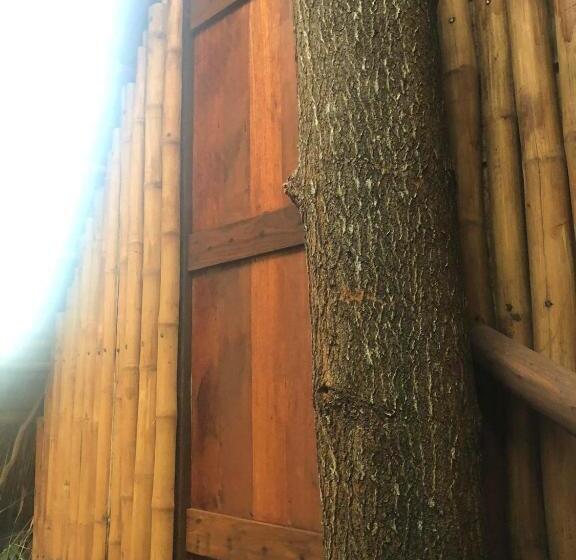 اتاق استاندارد با بالکن و چشمانداز دریا, Sanctuaria Treehouses Busuanga