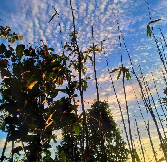 سوئیت با تخت بزرگ, Sanctuaria Treehouses Busuanga