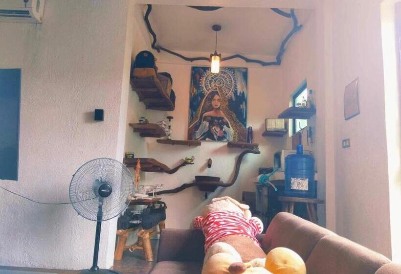 استودیوی لوکس, Sanctuaria Treehouses Busuanga