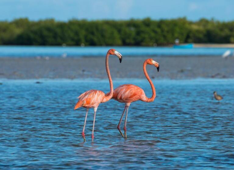 Standard room with outdoor bath, B & B Il Mirto 2