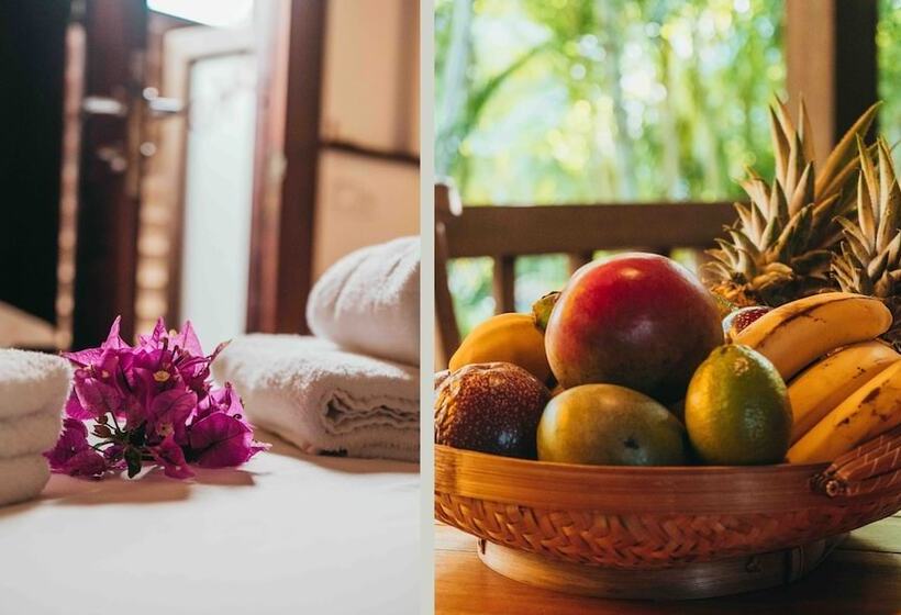 بنگله خانوادگی, Domaine Saint François