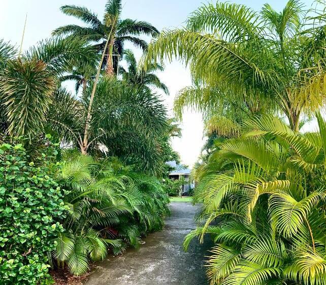 بنگله خانوادگی, Domaine Saint François