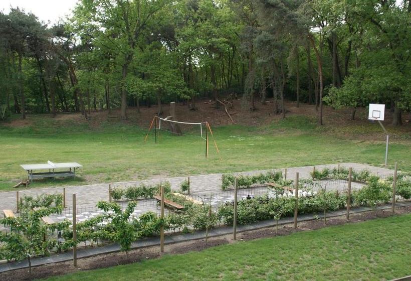 Апартаменты 2 Спальни, Vakantieboerderij  T Zand   Appartement