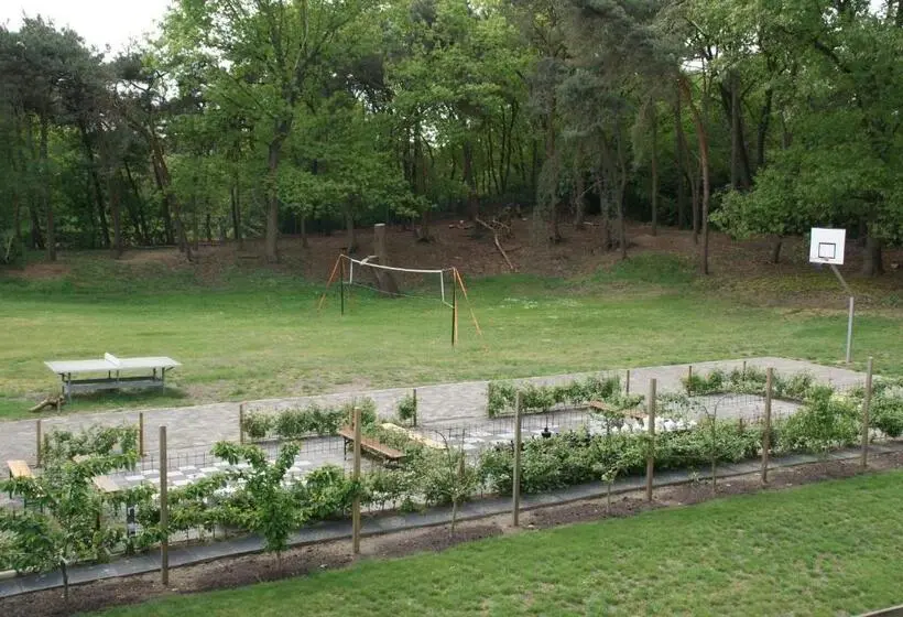 ２ベッドルームアパートメント, Vakantieboerderij  T Zand   Appartement