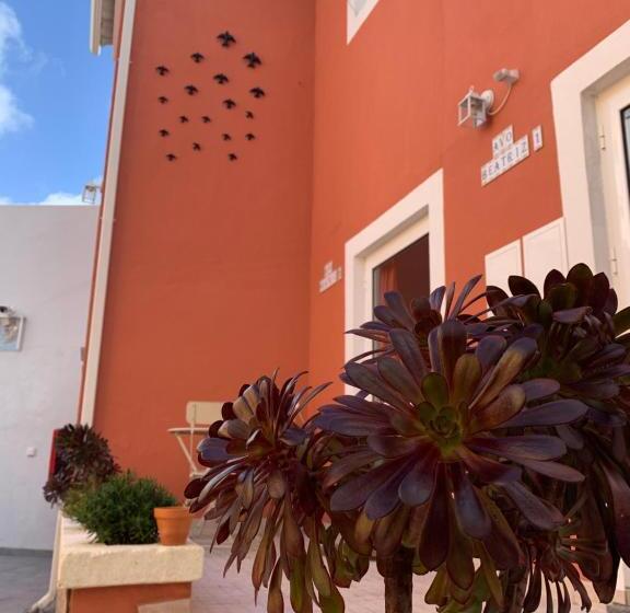 סטודיו משפחתי, Vila Dos Avós