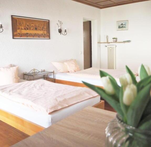 Номер Стандарт с Террасой, Gasthaus Zum Alten Euler