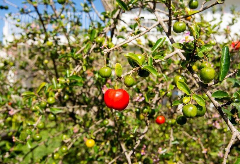 חדר סטנדרט, Moradas Palhoça