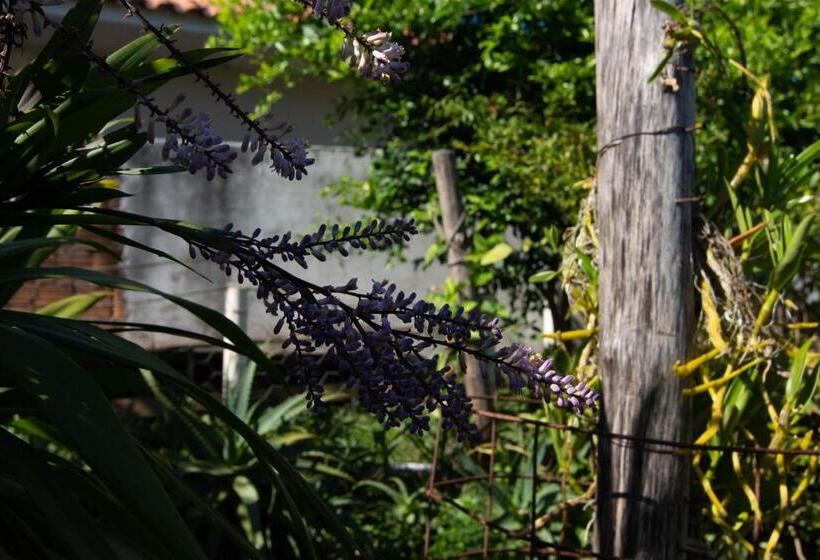 חדר סטנדרט, Moradas Palhoça