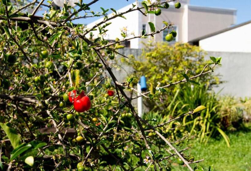 סוויטה, Moradas Palhoça