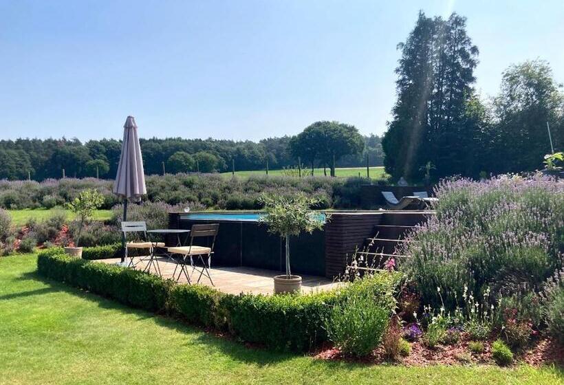 غرفة قياسية, La Milardière Chambres D Hôtes