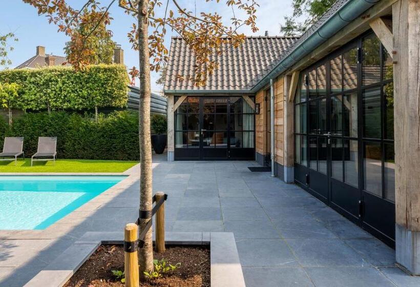 带大床的标准间, Sjiek Basiliek