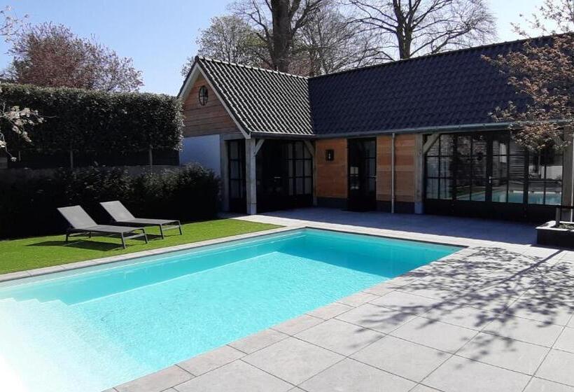 带大床的标准间, Sjiek Basiliek