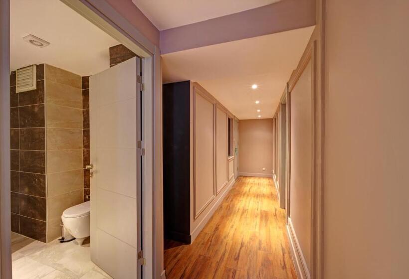 ２ベッドルームアパートメント, Concept Nisantasi Hotels & Spa