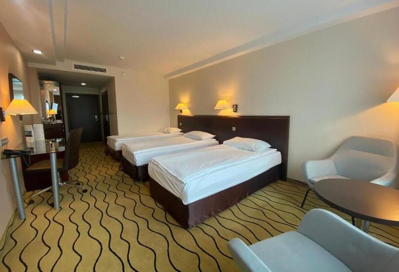 スタンダードトリプルルーム, Ambasador Centrum