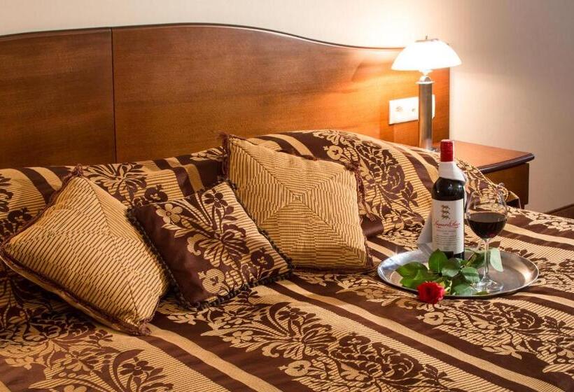 带大床的标准工作室, Ambasadorski Rzeszów