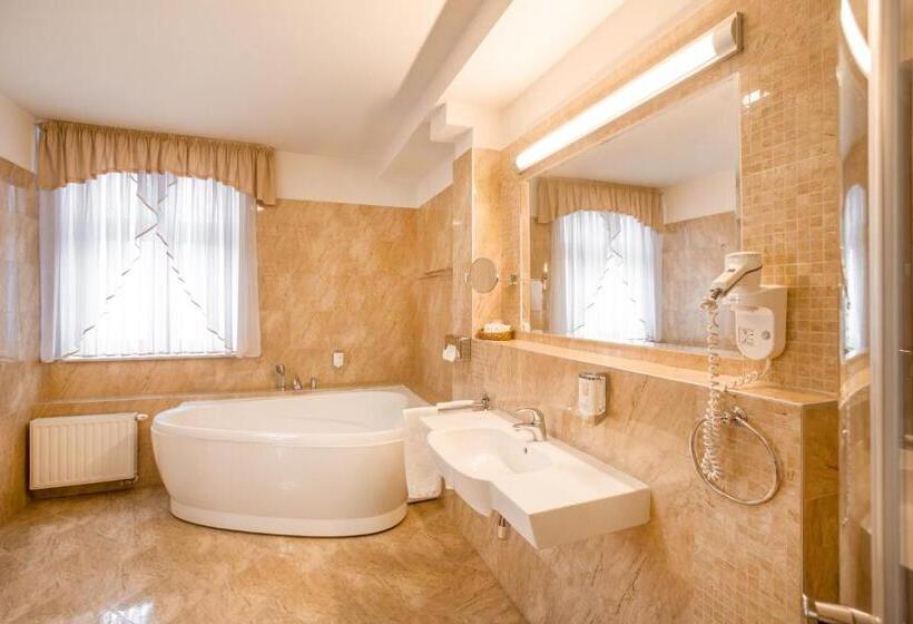 带大床的套房, Ambasadorski Rzeszów