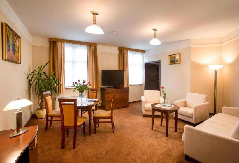 带大床的套房, Ambasadorski Rzeszów