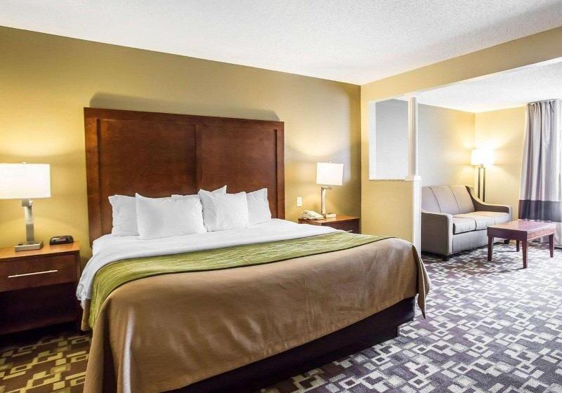 デラックスルーム, Graffit Gallery Design