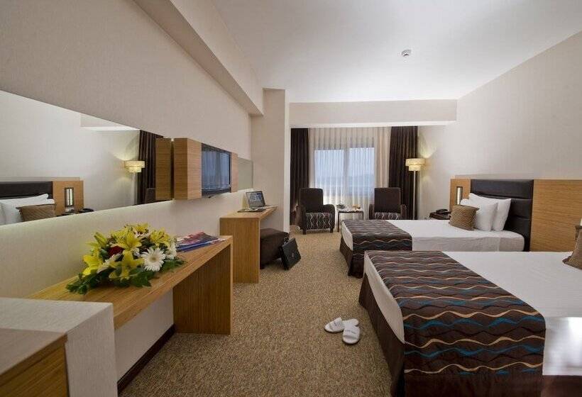 اتاق استاندارد, North Point