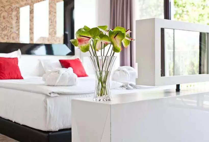 اتاق استاندارد, Platinum Palace Boutique Hotel & Spa