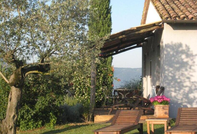 Juniorsvit, Tenuta Di Canonica