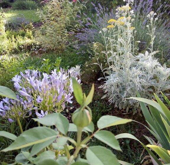 带花园景观的标准三人间, L Ecrin