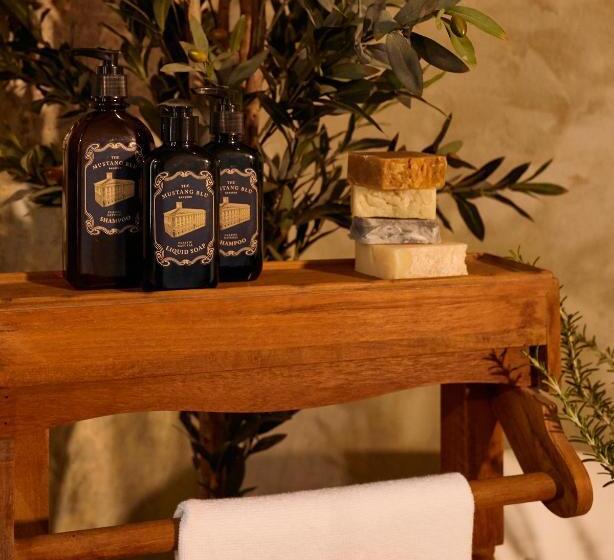 اتاق لوکس, The Mustang Blu