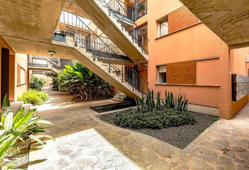 آپارتمان 1 خوابه با چشمانداز دریا, Strelitzia Park