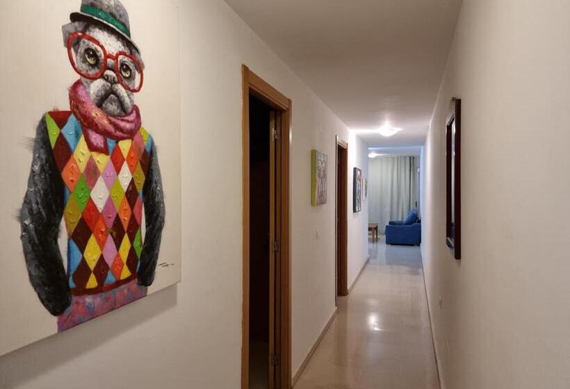 آپارتمان سوپریور 1 خوابه, Strelitzia Park