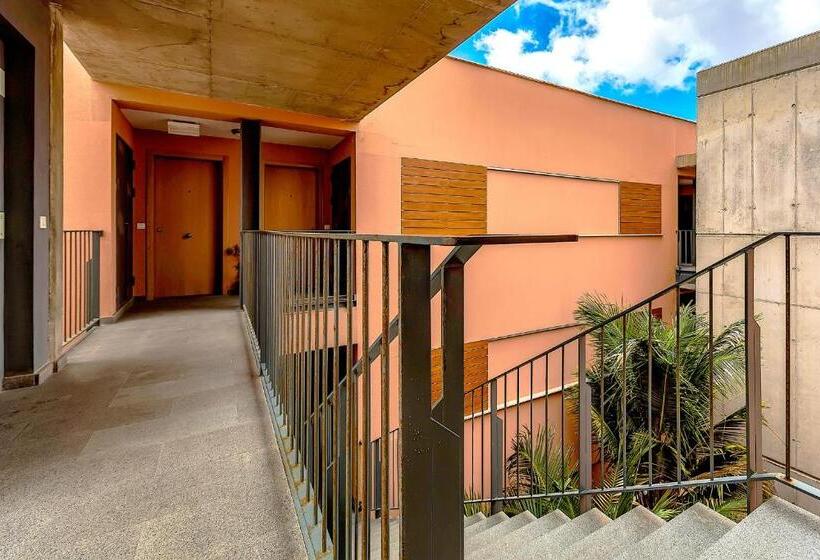 آپارتمان 1 خوابه با چشمانداز, Strelitzia Park