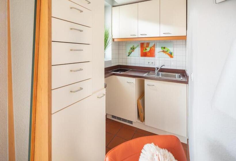 شقة غرفة واحدة مزودة بتراس, Appartement Haus Bracht  Direkt Am Kurplatz