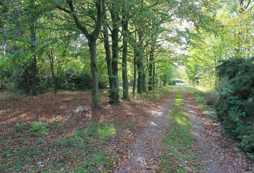 ２ベッドスイートルーム, Beau Reg Art