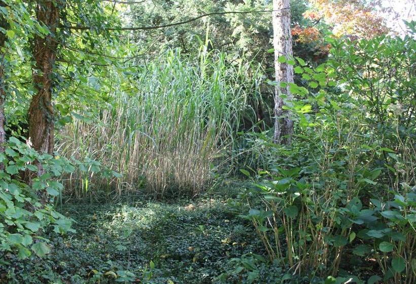 ２ベッドスイートルーム, Beau Reg Art