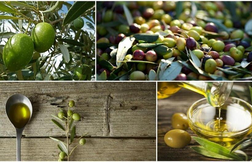 Номер Deluxe, Chambre Hôtes Jacuzzi Climatiseur Provence