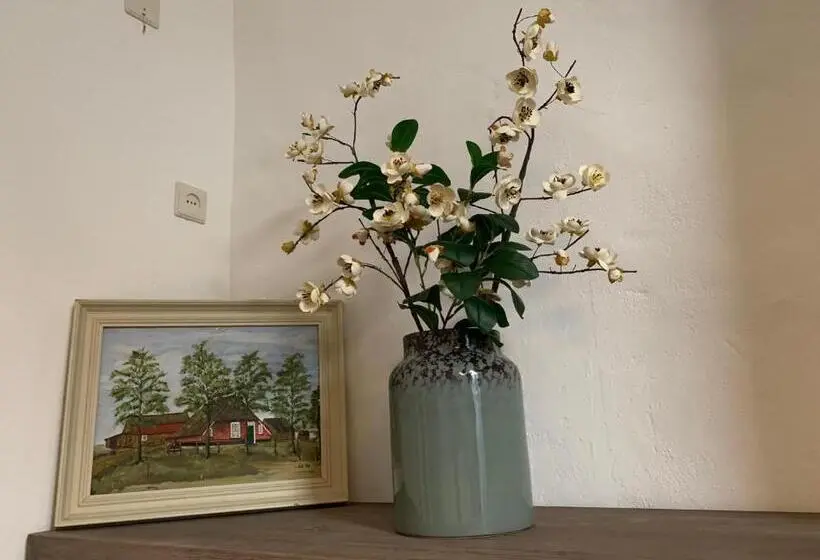 スタンダードルーム, Het Rode Pakhuis